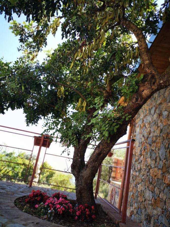 Villetta Starza Marina di Camerota Exterior foto